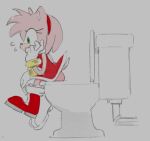  amy_rose anthro bodily_fluids bottomwear butt clothed clothing eulipotyphlan female fur green_eyes hedgehog implied_pee implied_scat mammal panties panties_down partially_clothed pink_body pink_fur raised_tail sega side_view sitting sketch skirt solo sonic_the_hedgehog_(series) sooperman straining sweat sweatdrop toilet toilet_bowl toilet_use underwear underwear_down 