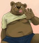  anthro belly blush brown_fur clothed clothing fur male mammal moobs navel nipples open_shirt overweight overweight_male pink_background shorts simple_background sitting solo tongue tongue_out unknown_artist ursid 