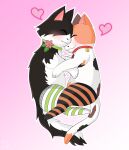  absurd_res bell bell_collar blush calico_cat chip_(catmakinbiscuits) cloudeon collar cuddling digital_media_(artwork) domestic_cat duo felid feline felis feral fur hi_res male mammal mottled piebald simple_background smile 