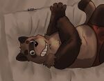  2013 4_fingers anthro bed belly biped black_nose brown_body bulge canid canine clothing fingers furniture kernelewdies lying male mammal raccoon_dog slightly_chubby solo tanuki unavailable_at_source underwear 