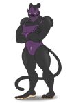  absurd_res anthro crossgender felid hi_res male mammal ms._renee_l&#039;noire muscular pantherine solo zp92 