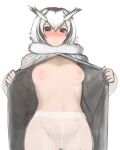  1girl areolae black_hair blonde_hair blush breasts brown_eyes closed_mouth coat eyebrows_visible_through_hair flashing fur_collar groin hair_between_eyes highres kemono_friends large_areolae long_sleeves looking_at_viewer medium_breasts medium_hair multicolored_hair navel nipples no_bra no_panties northern_white-faced_owl_(kemono_friends) nose_blush open_clothes open_coat pantyhose see-through see-through_legwear shibori_kasu simple_background sketch solo stomach upper_body white_background white_hair white_legwear 