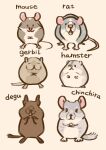  biped black_eyes brown_body chibi chinchilla chinchillid cricetid degu dot_eyes eyes_closed feral gerbil hamster hi_res jdmsyrycmxv0oni mammal mouse murid murine octodontid paws pink_nose rat rodent simple_background slightly_chubby white_body 