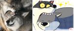  2022 animated bite canid canine canis ears_down ears_up eyes_closed feral fur grey_body grey_ears grey_fur gums keke_(artist) mammal open_mouth pink_inner_ear pink_tongue pivoted_ears sharp_teeth signature teeth tongue wolf 