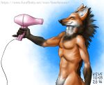 2016 5_fingers anthro athletic athletic_anthro athletic_male black_body black_claws black_fur black_nose canid canine chest_tuft claws dated dryer eyes_closed fingers fur hair_dryer half-length_portrait inner_ear_fluff male mammal maned_wolf neck_tuft orange_body orange_ears orange_fur portrait signature skyelegs smile solo text tuft url white_body white_fur white_inner_ear_fluff 