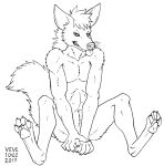  2017 5_fingers aardwolf anthro athletic athletic_anthro athletic_male biped black_and_white blep cheek_tuft claws dated facial_tuft fingers front_view hair hyaenid male mammal monochrome navel pawpads paws shoulder_tuft signature sitting skyelegs solo spread_legs spreading tongue tongue_out tuft whiskers 