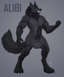  abs alibi_(alibiwolf) alibiwolf animal_genitalia animal_penis anthro balls big_balls big_feet black_body black_fur canid canine canine_penis canis digitigrade feet fluffy fluffy_tail fully_sheathed fur genitals glaws grey_body grey_fur grin heavy_balls hi_res knot looking_at_viewer male mammal model_sheet muscular neck_tuft penis sheath smile solo teeth tuft were werecanid werecanine werewolf wolf 