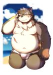  absurd_res anthro beach belly blush bulge canid canine canis clothing domestic_dog eyebrows fur grey_body grey_fur hi_res junxiong_0814 lifewonders male mammal moritaka musclegut muscular_arms nipples pecs scar seaside solo speedo swimwear thick_eyebrows tokyo_afterschool_summoners video_games 