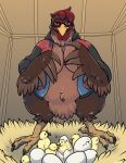  absurd_res anthro avian bird bottomless breasts chick chicken cleavage clothed clothing danji-isthmus egg eyewear female galliform gallus_(genus) glasses hatching hi_res looking_at_viewer nest open_clothing phasianid solo straw 