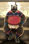  2022 absurd_res anthro band-aid bandage belly big_belly black_body bottomwear bulge canid canine clothing detailed_background hair hi_res kemono kokuba_hoeguro male mammal moobs overweight overweight_male rugby rugby_uniform shirt shorts sitting solo topwear virtual_youtuber white_hair xzk 