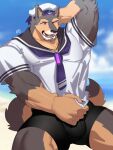  absurd_res anthro biceps brown_body brown_fur bulge canid canine canis clothing domestic_dog eyebrows fur hachi_duchi hi_res lifewonders live-a-hero male mammal muscular muscular_anthro pubraseer purple_eyes sailor_hat sailor_uniform solo thick_eyebrows underwear video_games 