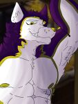  absurd_res anthro armpit_hair barazoku body_hair brown_background cabin canid canine canis fur hi_res himbo male mammal muscular muscular_anthro muscular_male pecs purple_body purple_fur simple_background solo were werecanid werecanine werewolf white_body white_fur wolf yellow_body yellow_fur 