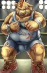  2011 anthro bandaged_arm belly big_belly biped brown_body brown_fur bulge fighting_ring fur humanoid_hands kemono male mammal overweight overweight_male solo suid suina sus_(pig) wild_boar wrestling_singlet zen_(kemono_artist) 