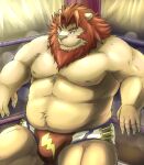 2014 anthro belly big_belly bulge clothing felid fighting_ring humanoid_hands kemono lion male mammal moobs musclegut nipples overweight overweight_male pantherine solo underwear zen_(kemono_artist) 