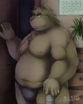  2017 anthro asian_clothing belly big_belly brown_body brown_fur bulge calendar clothing detailed_background east_asian_clothing fundoshi fur humanoid_hands inside japanese_clothing kemono male mammal moobs nipples overweight overweight_male underwear ursid zen_(kemono_artist) 