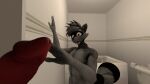  abs anthro bath bathroom big_penis black_spots domizoni duo fur genitals grey_body grey_fur grey_hair hair male male/male mammal open_mouth orange_eyes penis procyonid raccoon red_penis sly_cooper sly_cooper_(series) sony_corporation sony_interactive_entertainment spots sucker_punch_productions surprise surprised_expression toilet video_games wall_(structure) 