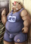  2017 anthro belly big_belly brown_body brown_fur bulge detailed_background fur humanoid_hands kemono male mammal moobs overweight overweight_male solo suid suina sus_(pig) wild_boar wrestling_singlet zen_(kemono_artist) 