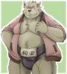  2017 anthro asian_clothing belly big_belly canid canine clothing east_asian_clothing green_background humanoid_hands japanese_clothing kemono male mammal mawashi moobs overweight overweight_male simple_background solo zen_(kemono_artist) 