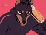  2022 anthro baseball_bat bat_(object) black_body black_hair brown_body brown_fur brown_skin bust_portrait canid canine canis chiropteran clothed clothing collar colored digital_drawing_(artwork) digital_media_(artwork) dobermann domestic_dog dyrtax fur hair holding_object holding_weapon hoodie kain_vanderhilt looking_at_viewer male mammal melee_weapon pinscher portrait red_eyes shaded signature simple_background solo spots topwear weapon 