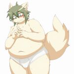  2014 anthro belly big_belly blue_eyes blush bulge canid canine clothing eyewear glasses green_hair hair humanoid_hands kemono male mammal moobs nipples overweight overweight_male simple_background solo uchimaru underwear white_background 