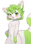  anthro blush blush_lines breasts cheek_tuft cute_fangs domestic_ferret facial_tuft featureless_crotch female fur green_body green_eyes green_fur green_hair hair hi_res looking_at_viewer mammal mustela mustelid musteline navel niima_(shaymin) open_mouth solo teeth tongue true_musteline tuft unknown_artist white_body white_fur 