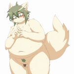 2014 anthro balls belly big_belly blue_eyes blush canid canine eyewear flaccid genitals glasses green_hair hair humanoid_genitalia humanoid_hands humanoid_penis kemono male mammal moobs nipples overweight overweight_male penis simple_background small_penis solo uchimaru white_background 