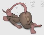  2022 anthro anus balls butt fur genitals hi_res male mammal murid murine rat rodent schmutzo simple_background sleeping solo 