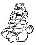 2013 anthro balls bdsm bondage bound canid canine erection genitals hi_res kernelewdies male mammal overweight overweight_male penis raccoon_dog restraints rope rope_bondage rope_harness simple_background sitting small_penis solo tanuki 