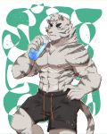  anthro biceps blue_eyes clothing drakonika123 feline fur male mammal muscular muscular_male pantherine shorts solo tiger 