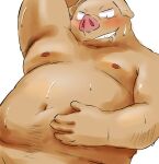  2015 anthro belly big_belly blush bodily_fluids brown_body diru11 domestic_pig humanoid_hands kemono male mammal moobs navel nipples simple_background suid suina sus_(pig) sweat white_background 
