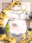  2022 anthro asian_clothing belly big_belly black_nose blush bodily_fluids bulge clothed clothing east_asian_clothing erection erection_under_clothing felid fundoshi hi_res inunodaidokoro japanese_clothing kemono male mammal moobs musk nipples overweight overweight_male pantherine solo sweat tiger underwear white_body white_clothing white_fundoshi white_underwear yellow_body 