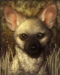  2018 4:5 aardwolf ambiguous_gender black_nose blurred_background brown_body brown_eyes brown_fur bust_portrait cheek_tuft dated facial_tuft feral fur glistening glistening_eyes glistening_nose grass head_tuft hi_res hyaenid mammal neck_tuft outside pink_inner_ear plant portrait signature skyelegs solo tan_body tan_ears tan_fur tuft whiskers 