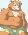  2011 anthro belly big_belly brown_body brown_fur brown_nose bulge clothing fur humanoid_hands kemono male mammal moobs nipples overweight overweight_male simple_background solo tongue tongue_out underwear ursid wanmya 