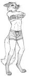 4_toes anthro biped black_and_white bottomwear cheek_tuft claws clothed clothing crossdressing digitigrade facial_tuft feet front_view girly inner_ear_fluff leg_tuft licking licking_lips looking_at_viewer male monochrome shoulder_tuft skyelegs solo standing toes tongue tongue_out topwear tuft undressing 