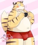  2014 anthro bake_gosut belly big_belly blush clothing felid humanoid_hands kemono male mammal moobs navel nipples overweight overweight_male pantherine pink_nose solo tiger underwear underwear_festival 