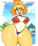  2022 absurd_res animal_crossing anthro armor big_breasts bikini bikini_armor bikini_bottom bikini_top blonde_hair blush breasts canid canine canis clothing cute_expression derp_eyes derpybelle dialogue domestic_dog english_text eyebrow_through_hair eyebrows eyewear female female/female glasses hair hi_res huge_hips huge_thighs isabelle_(animal_crossing) jhenightfox mammal nintendo shih_tzu signature solo swimming_pool swimwear text thick_thighs toy_dog translucent translucent_hair unconvincing_armor video_games wide_hips 