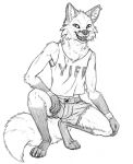  4_toes anthro biped black_and_white bottomwear canid canine cheek_tuft clothing crouching digitigrade ear_piercing ear_ring elbow_tufts facial_tuft fangs feet fox front_view gloves_(marking) hand_on_knee hand_on_leg inner_ear_fluff leg_markings looking_at_viewer male mammal markings monochrome neck_tuft open_mouth open_smile pants piercing skyelegs smile socks_(marking) solo toes tongue topwear tuft 