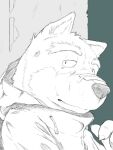  2014 anthro bandage biped bodily_fluids canid canine canis clothing domestic_dog hoodie humanoid_hands kemono kyasyuu male mammal portrait sad scar solo tears topwear unavailable_at_source 