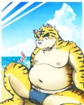  2014 anthro beach belly big_belly blush bulge clothing detailed_background felid kemono male mammal moobs namiki_te navel nipples outside overweight overweight_male pantherine seaside solo tiger unavailable_at_source underwear water yellow_body 