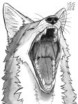  2018 ambiguous_gender black_and_white bodily_fluids canid canine cheek_tuft dated eyes_closed facial_tuft fangs feral fox front_view glistening glistening_nose headshot_portrait inner_ear_fluff mammal monochrome mouth_shot neck_tuft open_mouth portrait saliva saliva_string signature skyelegs solo tongue tuft whiskers 