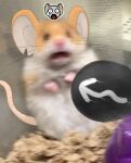  ambiguous_gender anthro ball emoji emoticon fur mammal meme mouse murid murine orange_body orange_fur photo_background rat rodent solo surprise surprised_expression transformice unknown_artist video_games whiskers 