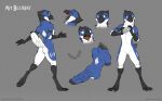  absurd_res anthro avalonblueavian avalonjay avian beak bird black_beak blue_body blue_eyes blue_feathers blue_jay corvid feathers featureless_crotch hi_res jay_(bird) male model_sheet new_world_jay oscine passerine presenting solo wingless_avian zaush 