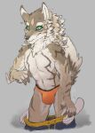  absurd_res anthro assisted_exposure bottomwear bottomwear_down briefs bulge clothed clothing hi_res male pants pants_down partially_clothed raendragon seth_(tas) shorts solo surprise underwear undressing 