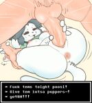  absurd_res anthro anus balls bodily_fluids breasts conditional_dnp duo female from_front_position genitals hi_res human impregnation_request male male/female mammal mating_press penetration penis sex simple_background size_difference sweat temmie_(undertale) undertale undertale_(series) vaginal vaginal_penetration vaktus video_games 
