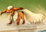  2014 ambiguous_gender black_nose bow_ribbon eeveelution feral flareon fur liquid necktie nintendo orange_body orange_fur pok&eacute;mon pok&eacute;mon_(species) simple_background soaked solo spacesmilodon tan_body tan_fur video_games water wet 