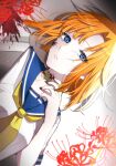  1girl bandaid blonde_hair blood blue_eyes blue_sailor_collar collared_shirt eyebrows_visible_through_hair flower highres higurashi_no_naku_koro_ni looking_at_viewer medium_hair mochinishi_umashi neckerchief parted_lips red_flower ryuuguu_rena sailor_collar sailor_shirt shiny shiny_hair shirt short_sleeves solo tears upper_body white_shirt yellow_neckerchief 