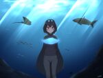  1girl animal aquarium arms_behind_back bangs black_cape black_hair black_sweater blue_eyes cape commentary english_commentary fish grey_pants hair_between_eyes head_wings highres kemono_friends light_rays long_sleeves looking_at_viewer pants ribbed_sweater shiraha_maru short_hair smile solo straight-on sunbeam sunlight superb_bird-of-paradise_(kemono_friends) sweater turtleneck turtleneck_sweater 
