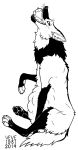  2019 4_toes abdominal_bulge ambiguous_gender black_and_white canid canine cheek_tuft chest_tuft claws dated ears_back eating facial_tuft feet feral glistening glistening_pawpads inner_ear_fluff mammal maned_wolf monochrome pawpads paws pivoted_ears quadruped side_view signature skyelegs solo toes tuft 