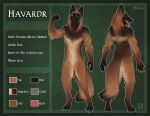  2020 anthro athletic athletic_anthro athletic_male belgian_shepherd biped black_nose black_pawpads brown_body brown_ears brown_eyes brown_fur brown_inner_ear_fluff brown_tail butt canid canine canis cheek_tuft claws dated digitigrade domestic_dog facial_tuft front_view fur glistening glistening_nose glistening_pawpads grey_claws herding_dog hi_res inner_ear_fluff leg_tuft looking_at_viewer male mammal neck_tuft pastoral_dog pawpads pose rear_view sheepdog signature skyelegs solo standing tan_body tan_fur tuft 