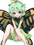  1girl antennae aqua_hair blush butterfly_wings dress eternity_larva fairy feet_out_of_frame green_dress highres kayon_(touzoku) leaf leaf_on_head looking_at_viewer multicolored_clothes multicolored_dress one-hour_drawing_challenge open_mouth orange_eyes short_hair short_sleeves simple_background smile solo touhou white_background wings 